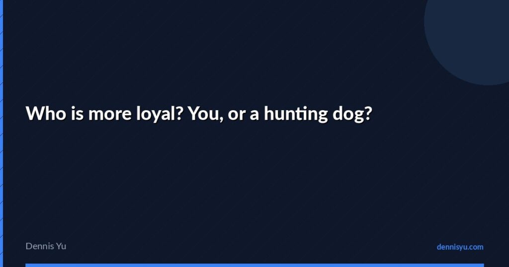 featured who is more loyal you or a hunting dog