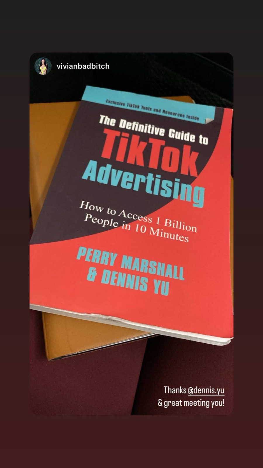Instagram story of The Definitive Guide to TikTok Advertising with a thank-you to Dennis Yu
