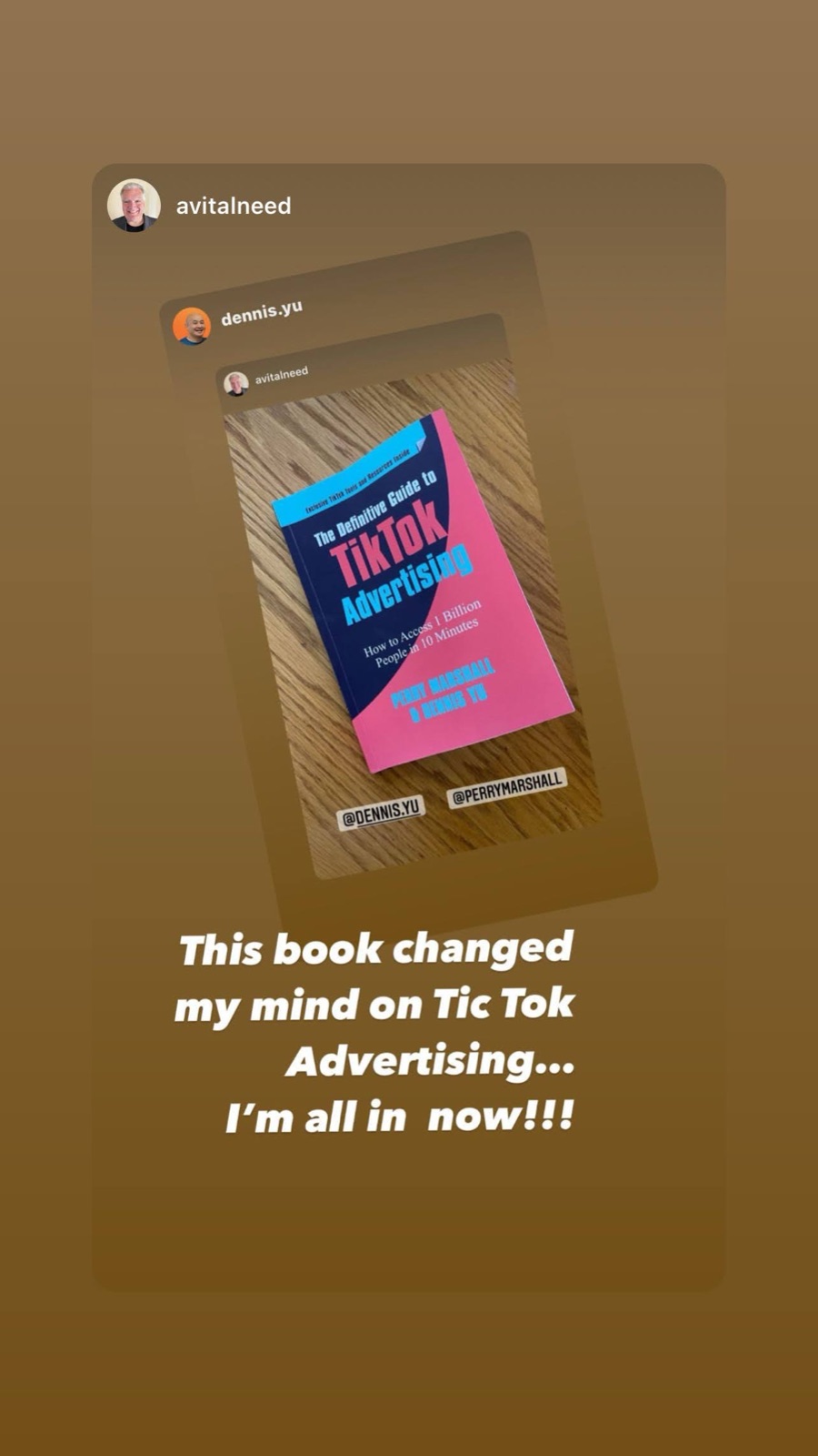 Instagram story testimonial over a photo of the TikTok advertising book